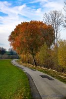 Krumbach Herbst 2022